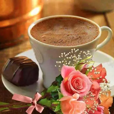 Alojamento de Acomodação e Pequeno-almoço Agata